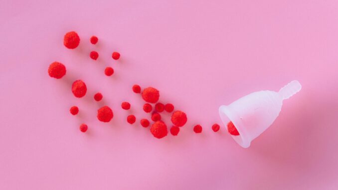 Menstruations Disc Menstruations Disc: Wie gut funktioniert sie?