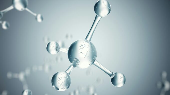 Natürliches Kollagen - wo findet man es?