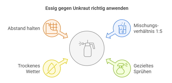 Anwendungstipps für Essig gegen Unkraut - Grafik