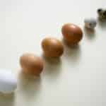 Schlechte Eier erkennen