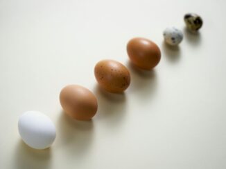 Schlechte Eier erkennen