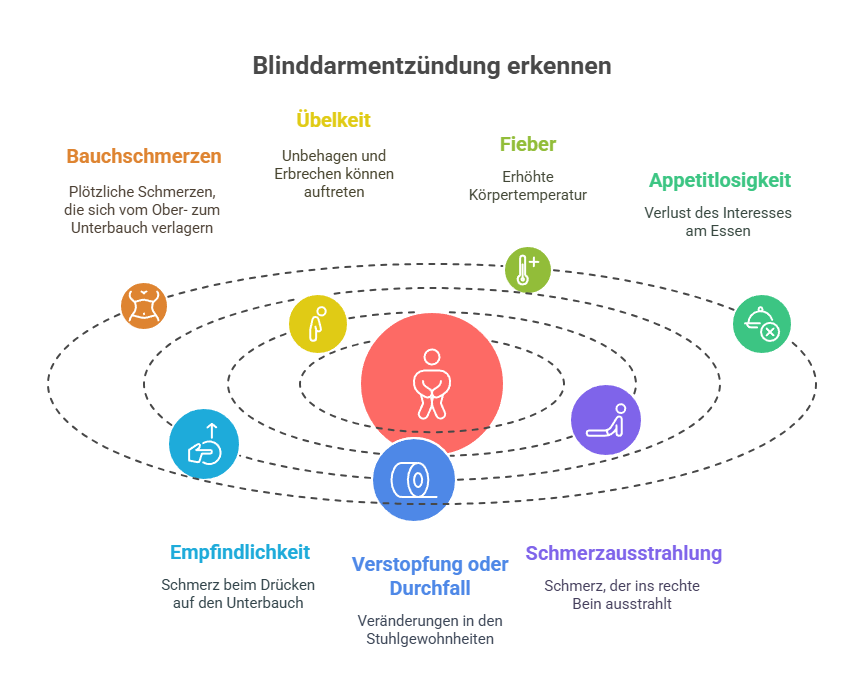 Symptome_Blinddarmentzündung erkennen - Grafik