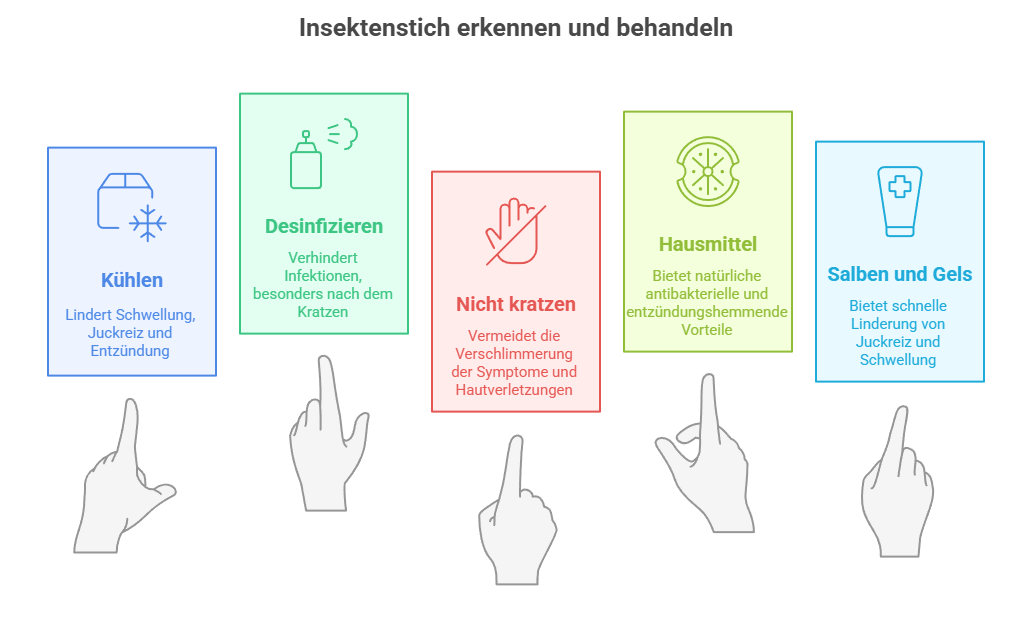 Was tun nach einem Insektenstich_Grafik
