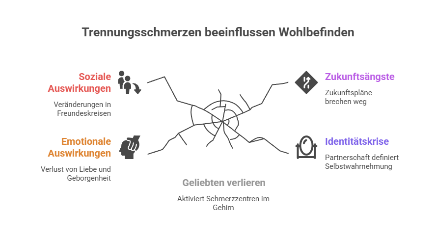 Warum sich Trennungsschmerzen so schlimm anfühlen - Grafik