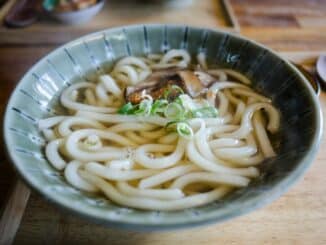 Was sind Udon Nudeln