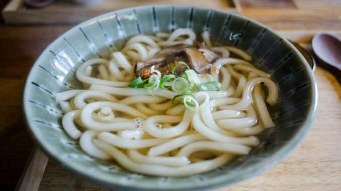 Was sind Udon Nudeln