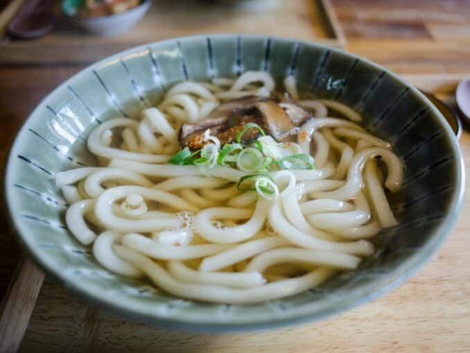Was sind Udon Nudeln