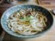 Was sind Udon Nudeln