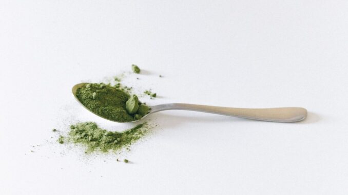 Spirulina kaufen